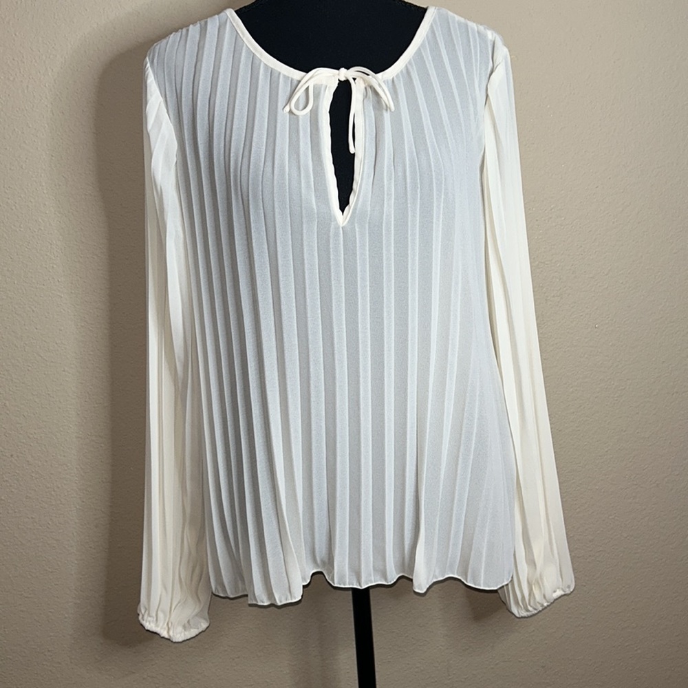 Cream Pleated Chiffon Long-sleeve Blouse - Picture 2 of 6